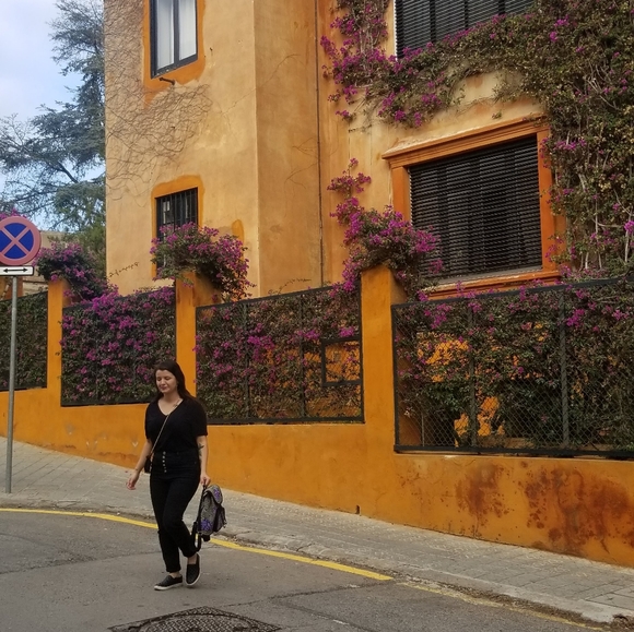 Meet your Posher, Abby - Picture 1 of 1